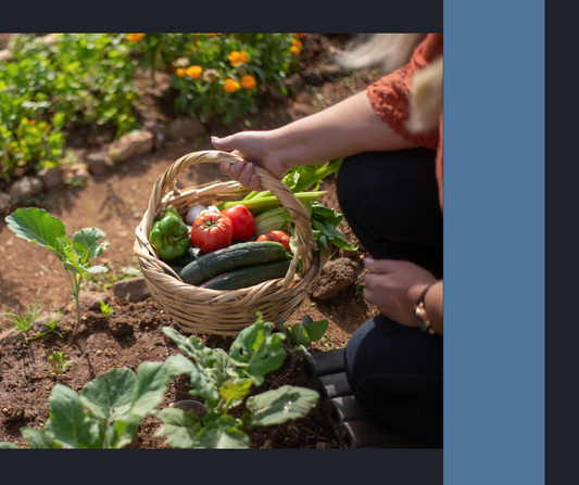 How to Start a Garden: A Beginner’s Guide to Growing Your Own Food