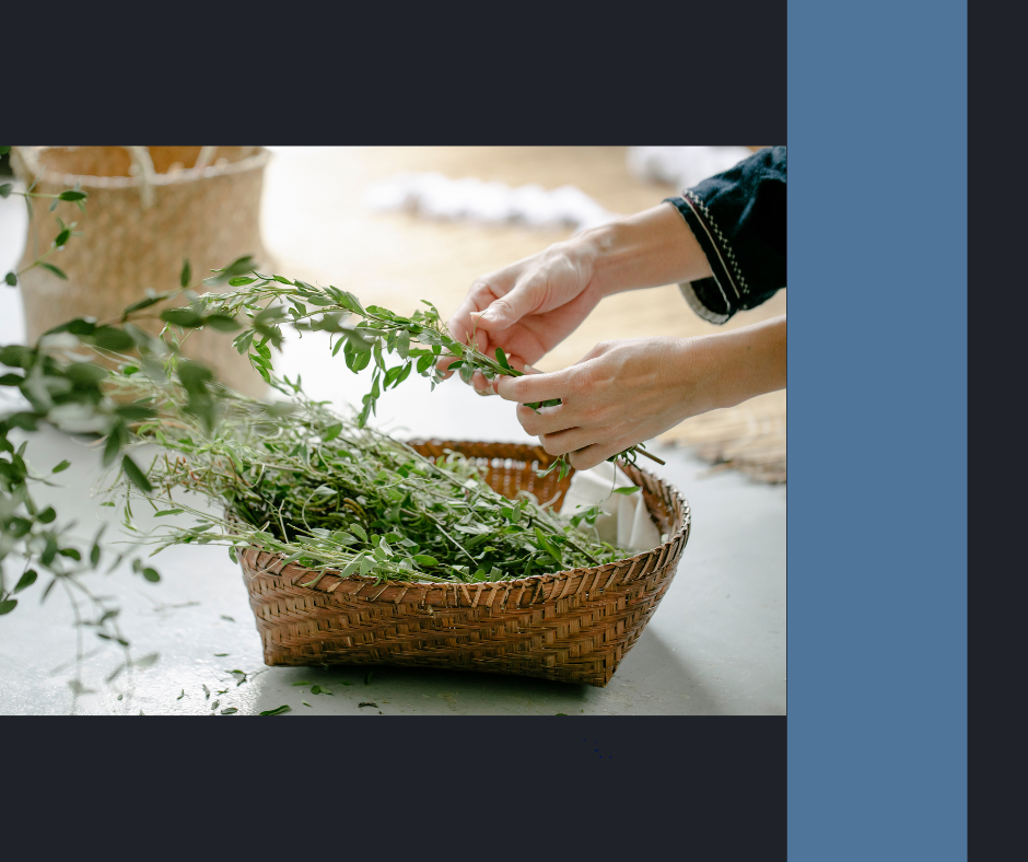 Herbs to Grow in Your Garden: For Health and Flavor