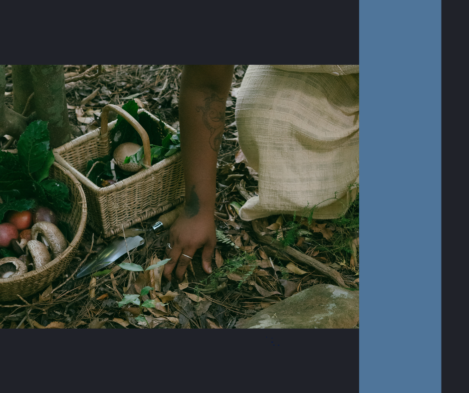 Foraging Basics and Edible Plants