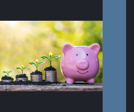 The Basics of Investing: A Beginner’s Guide to Building Your Financial Future