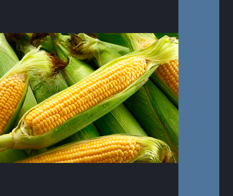 Survival Gardening: Growing 1,000 Calories a Day in Your Yard