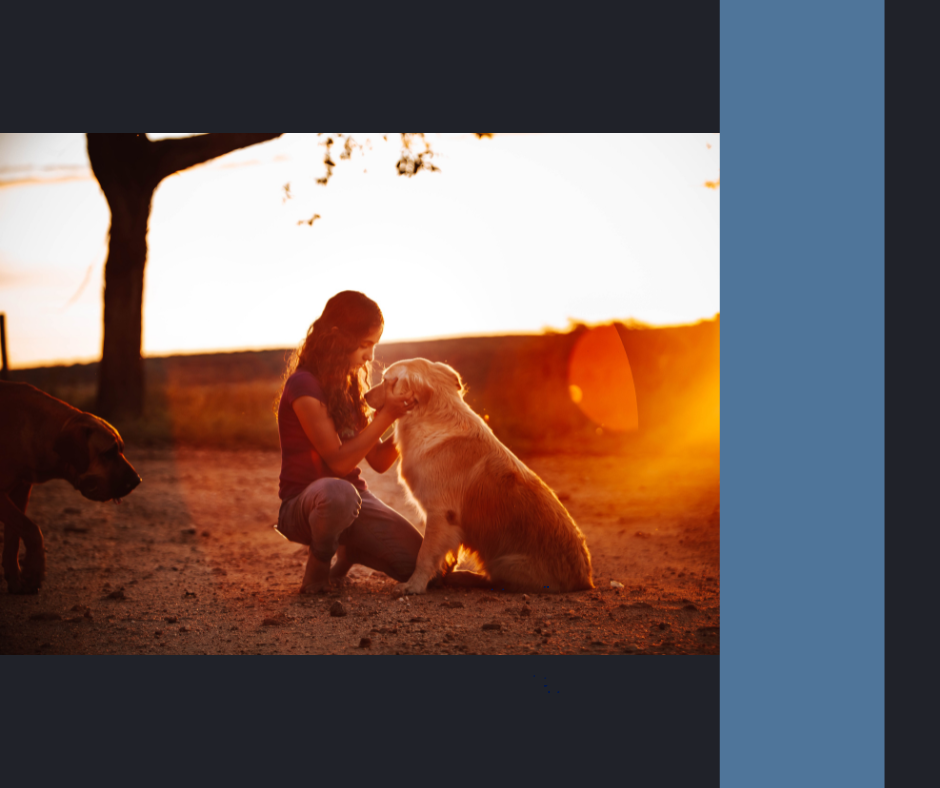 Prepping for Your Pets: Keeping Furry Family Members Safe in an Emergency