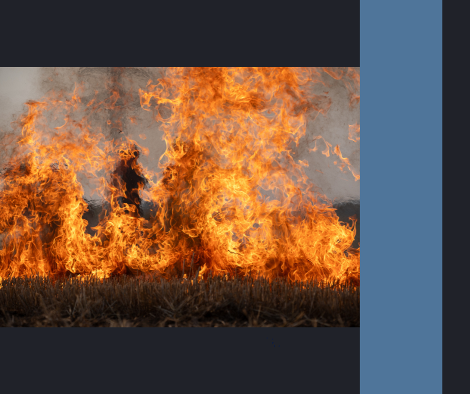 Wildfire-Proof Your Home: Practical Steps Every Family Can Take